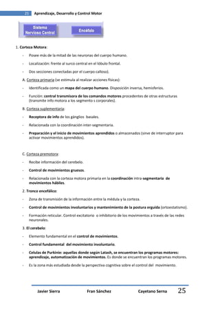 25      Aprendizaje, Desarrollo y Control Motor




1. Corteza Motora:

   -        Posee más de la mitad de las neuronas del cuerpo humano.

   -        Localización: frente al surco central en el lóbulo frontal.
   -        Dos secciones conectadas por el cuerpo calloso).

   A. Corteza primaria (se estimula al realizar acciones físicas):

   -        Identificada como un mapa del cuerpo humano. Disposición inversa, hemisferios.
   -        Función: central transmisora de los comandos motores procedentes de otras estructuras
            (transmite info motora a los segmento s corporales).
   B. Corteza suplementaria:
   -        Receptora de info de los gánglios basales.

   -        Relacionada con la coordinación inter-segmentaria.
   -        Preparación y el inicio de movimientos aprendidos o almacenados (sirve de interruptor para
            activar movimientos aprendidos).



   C. Corteza premotora:

   -        Recibe información del cerebelo.
   -        Control de movimientos gruesos.
   -        Relacionada con la corteza motora primaria en la coordinación intra-segmentaria de
            movimientos hábiles.

   2. Tronco encefálico:
   -        Zona de transmisión de la información entre la médula y la corteza.
   -        Control de movimientos involuntarios y mantenimiento de la postura erguida (ortoestatismo).
   -        Formación reticular. Control excitatorio o inhibitorio de los movimientos a través de las redes
            neuronales.

   3. El cerebelo:
   -        Elemento fundamental en el control de movimientos.
   -        Control fundamental del movimiento involuntario.
   -        Celulas de Purkinie: aquellas donde según Latash, se encuentran los programas motores:
            aprendizaje, automatización de movimientos. Es donde se encuentran los programas motores.
   -        Es la zona más estudiada desde la perspectiva cognitiva sobre el control del movimiento.




                 Javier Sierra                   Fran Sánchez                 Cayetano Serna           25
 