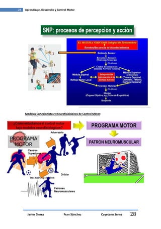 28   Aprendizaje, Desarrollo y Control Motor




     Modelos Conexionistas y Neurofisiológicos de Control Motor:




      Javier Sierra                Fran Sánchez                    Cayetano Serna   28
 