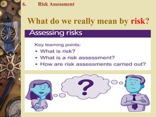 What do we really mean by risk?
 