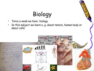 Biology
• Twice a week we have biology
• In this subject we learn e. g. about nature, human body or
about cells
 