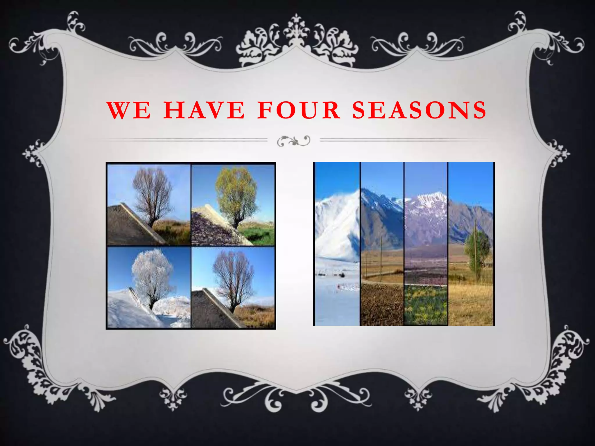 WE HAVE FOUR SEASONS