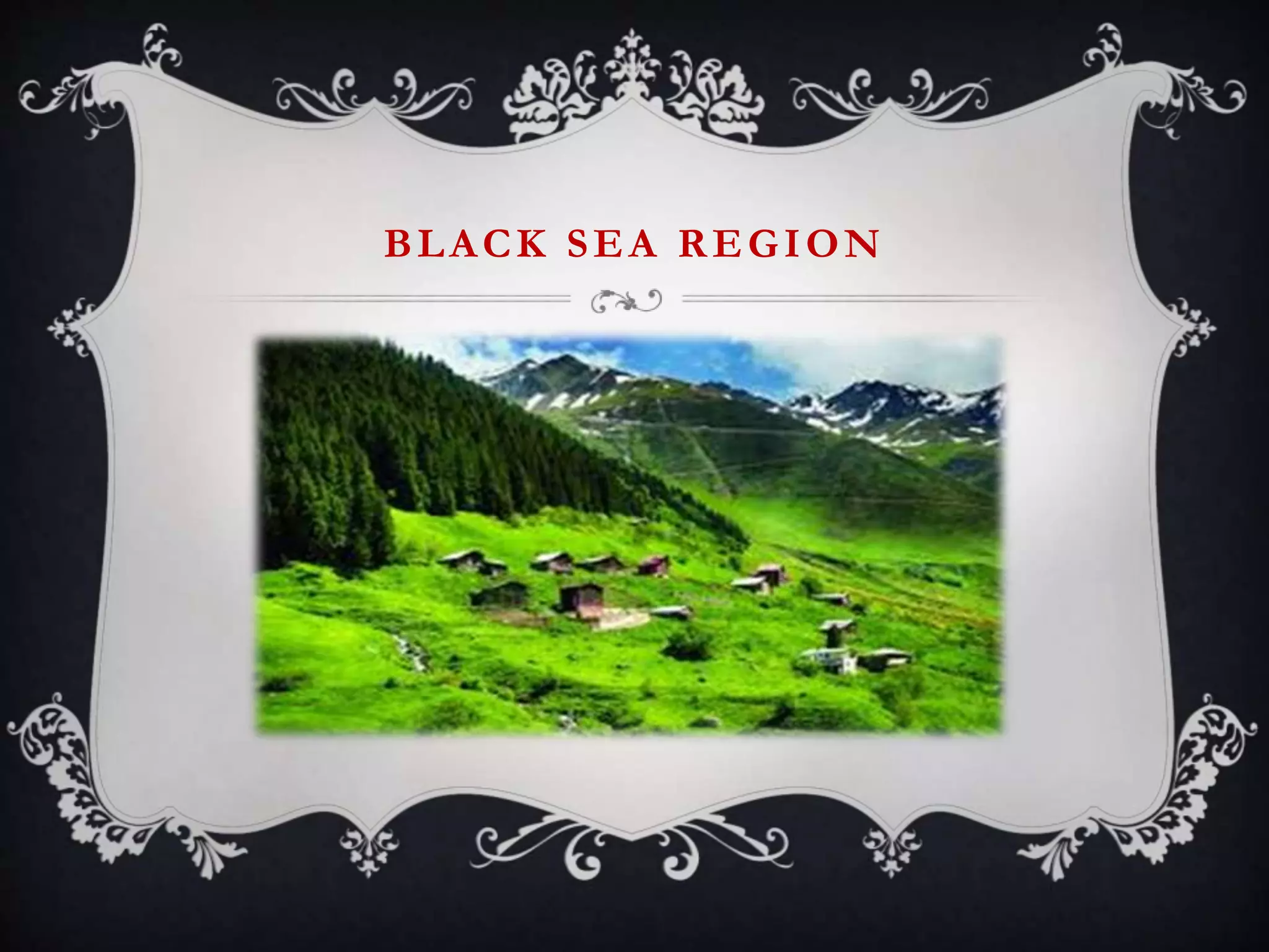 BLACK SEA REGION
