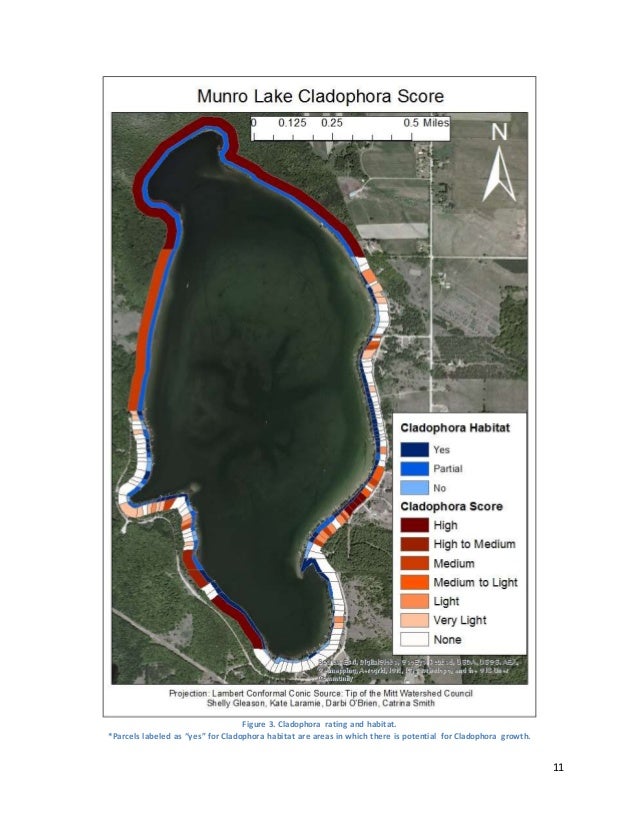 Munro Lake Shoreline Survey