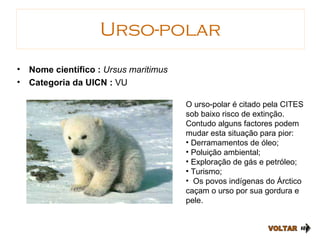 Urso-polar VOLTAR Nome científico :  Ursus maritimus Categoria da UICN :  VU O urso-polar é citado pela CITES sob baixo risco de extinção. Contudo alguns factores podem mudar esta situação para pior: Derramamentos de óleo; Poluição ambiental;  Exploração de gás e petróleo;  Turismo; Os povos indígenas do Árctico caçam o urso por sua gordura e pele. 
