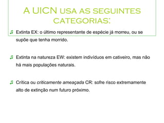 A UICN usa as seguintes categorias: Extinta EX: o último representante de espécie já morreu, ou se supõe que tenha morrido.  Extinta na natureza EW: existem indivíduos em cativeiro, mas não há mais populações naturais.  Crítica ou  criticamente ameaçada  CR: sofre risco extremamente alto de extinção num futuro próximo. 