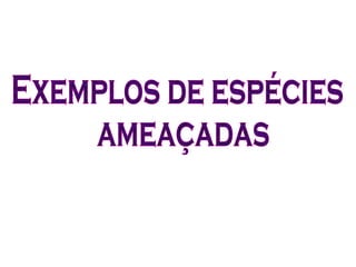 Exemplos de espécies ameaçadas 