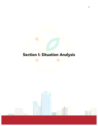  
	
  
3	
  
Section I: Situation Analysis
 