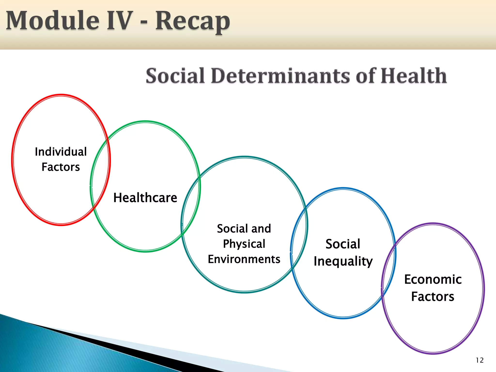 Social
Inequality
Economic
Factors
Social and
Physical
Environments
Healthcare
Individual
Factors
12
Module IV - Recap
 