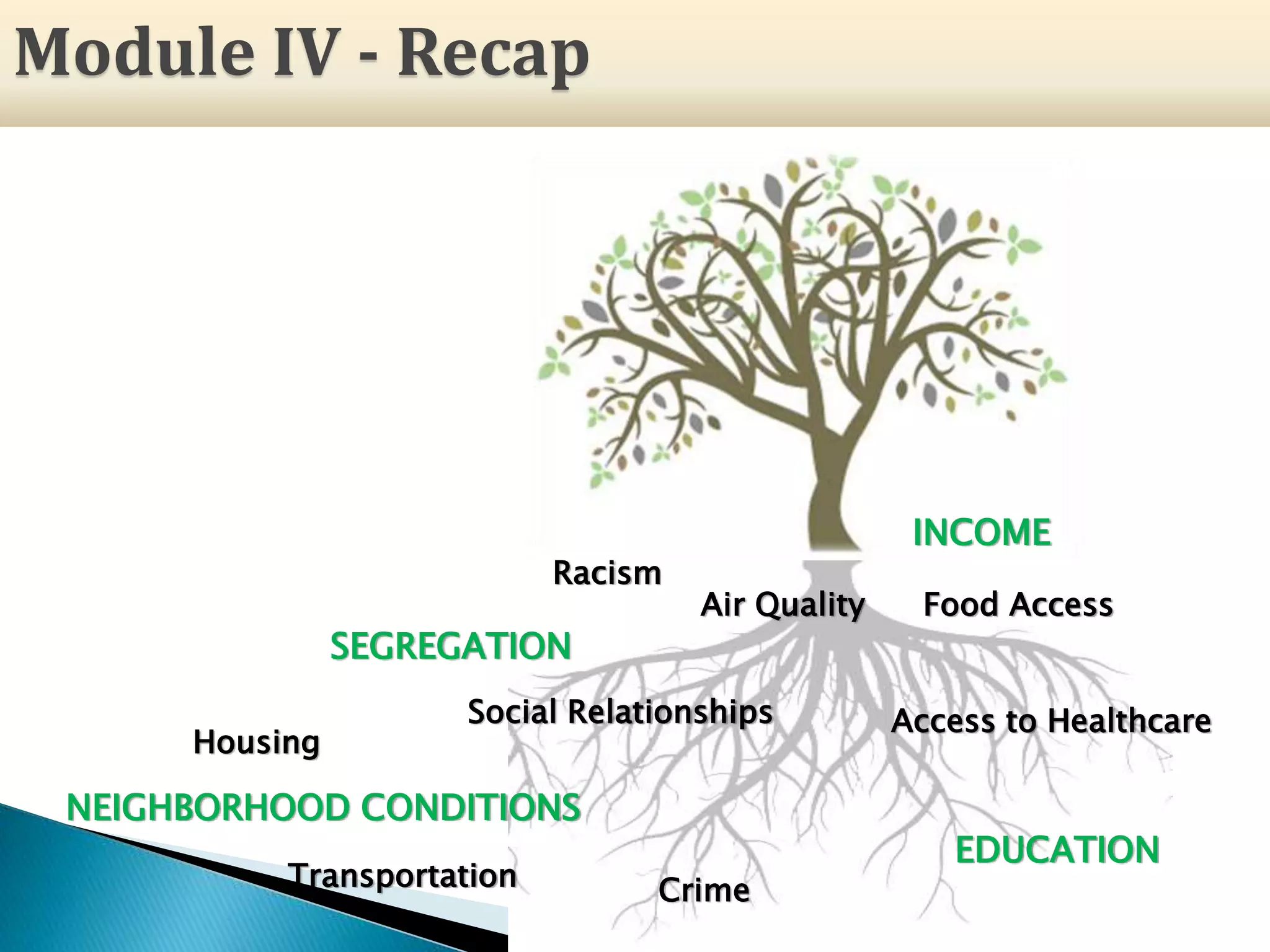 NEIGHBORHOOD CONDITIONS
Crime
Social Relationships
SEGREGATION
Food AccessAir Quality
Access to Healthcare
Housing
INCOME
EDUCATION
Transportation
Racism
Module IV - Recap
 