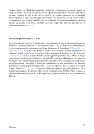 94
Résultats
Les tubes formés par CHMP2B se détachaient parfois des cellules ont pu être purifiés à partir du
milieu de culture. Leur observation en cryo-microscopie électronique à haute résolution a révélé que
les tubes faisaient de 100 à 400 nm de diamètre. Ils étaient recouverts par la bicouche
phospholipidique et creux. Des stries perpendiculaires à l’axe longitudinal ont été observées. Elles
correspondaient à un filament hélicoïdal d’un pas régulier de 32 Å qui tapissait la paroi intérieure
du tube. Ces données montrent que CHMP2B s’assemble en polymère hélicoïdal pour déformer la
membrane plasmique (Figure 6).
Lien avec la problématique de la thèse
Ce travail amène de nouveaux éclaircissements en ce qui concerne les mécanismes par lesquels les
mutants de CHMP2B conduisent à la mort neuronale dans la DFT. Certaines études ont montré que
le pouvoir pathogène des mutants provenait d’une dérégulation de l’autophagie (Filimonenko et al.,
2007; Lee et al., 2007). Un autre groupe a montré que les cellules mutantes présentaient des
endosomes tardifs élargis et que ces derniers étaient incapables de fusionner avec les lysosomes
(Urwin et al., 2010). Les résultats de notre travail suggèrent que le rôle de CHMP2B n’est pas
cantonné aux compartiments membranaires intracellulaires, mais s’étend également à la membrane
plasmique. Sans remettre totalement en question les études précédentes, nous pouvons imaginer que
les dérégulations de l’autophagie et du système endolysosomal ne sont probablement pas les seules
explications possibles pour la mort neuronale. Si nous nous replaçons dans le contexte des résultats
d’Agnès Belly (Belly et al., 2010), nous pouvons émettre l’hypothèse que l’effet des mutants sur la
morphologie des épines dendritiques reflète un rôle morphogénétique de CHMP2B au niveau de la
membrane plasmique de l’épine. La vérification de cette hypothèse constitue la suite de mon travail
de thèse.
 