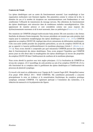 114
Résultats
Contexte de l’étude
Les épines dendritiques sont au centre du fonctionnement neuronal. Leur morphologie et leur
organisation moléculaire sont finement régulées. Des paramètres comme le volume de la tête, le
diamètre du cou et le nombre de récepteurs aux neurotransmetteurs sont fondamentaux et vont
conditionner l’efficacité de transmission du message nerveux. Des altérations du fonctionnement
des épines dendritiques sont retrouvées dans de nombreuses maladies neurodégénératives. Elles
apparaissent de manière précoce et sont considérées comme une cause majeure des
dysfonctionnements neuronaux et de la mort neuronale, dans ces pathologies (Penzes et al., 2011).
Des mutations de CHMP2B (charged multivesicular body protein 2B) sont associées à des formes
familiales de démence fronto-temporale. Des travaux précédents ont montré que cette protéine était
requise pour la maturation morphologique des épines dendritiques (Belly et al., 2010). CHMP2B
appartient au complexe ESCRT-III, impliqué dans divers mécanismes de déformation membranaire.
Cette sous-unité semble posséder des propriétés particulières, au sein du complexe ESCRT-III, de
par sa capacité à s’associer préférentiellement à la membrane plasmique (Article 1 : (Bodon et al.,
2011)). Nous avons cherché à comprendre par quel mécanisme CHMP2B pouvait être impliquée
dans le fonctionnement des épines dendritiques. Nous avons proposé l’hypothèse que CHMP2B
puisse jouer un rôle direct dans la morphogenèse des épines dendritiques au travers des propriétés
du complexe ESCRT-III dans l’établissement de courbures de la membrane plasmique.
Nous avons abordé la question sous trois angles principaux. (1) La localisation de CHMP2B au
niveau des synapses. (2) L’assemblage de cette protéine au sein d’un complexe ESCRT-III. (3) Le
rôle fonctionnel de ce complexe dans le gonflement des épines dendritiques et l’établissement de
processus de plasticité synaptique.
Ce travail a été mené en collaboration avec l’équipe du Pr. Laurent Fagni (IGF, Montpellier) autour
d’un projet ANR (MALZ 2011 : MAD CHMP2B). Ma contribution personnelle a concerné
principalement la mise en évidence et la caractérisation biochimique du complexe protéique
synaptique contenant CHMP2B. J’ai également participé à l’orientation des recherches, à la
rédaction du manuscrit et à la préparation des figures.
 