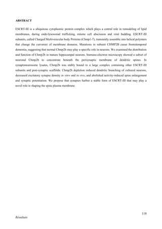 118
Résultats
ABSTRACT
ESCRT-III is a ubiquitous cytoplasmic protein complex which plays a central role in remodeling of lipid
membranes, during endo-lysosomal trafficking, mitotic cell abscission and viral budding. ESCRT-III
subunits, called Charged Multivesicular body Proteins (Chmp1-7), transiently assemble into helical polymers
that change the curvature of membrane domains. Mutations in subunit CHMP2B cause frontotemporal
dementia, suggesting that normal Chmp2b may play a specific role in neurons. We examined the distribution
and function of Chmp2b in mature hippocampal neurons. Immuno-electron microscopy showed a subset of
neuronal Chmp2b to concentrate beneath the perisynaptic membrane of dendritic spines. In
synaptoneurosome lysates, Chmp2b was stably bound to a large complex containing other ESCRT-III
subunits and post-synaptic scaffolds. Chmp2b depletion reduced dendritic branching of cultured neurons,
decreased excitatory synapse density in vitro and in vivo, and abolished activity-induced spine enlargement
and synaptic potentiation. We propose that synapses harbor a stable form of ESCRT-III that may play a
novel role in shaping the spine plasma membrane.
 