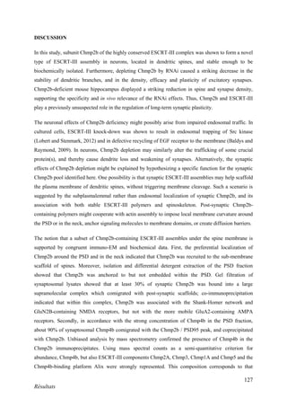 127
Résultats
DISCUSSION
In this study, subunit Chmp2b of the highly conserved ESCRT-III complex was shown to form a novel
type of ESCRT-III assembly in neurons, located in dendritic spines, and stable enough to be
biochemically isolated. Furthermore, depleting Chmp2b by RNAi caused a striking decrease in the
stability of dendritic branches, and in the density, efficacy and plasticity of excitatory synapses.
Chmp2b-deficient mouse hippocampus displayed a striking reduction in spine and synapse density,
supporting the specificity and in vivo relevance of the RNAi effects. Thus, Chmp2b and ESCRT-III
play a previously unsuspected role in the regulation of long-term synaptic plasticity.
The neuronal effects of Chmp2b deficiency might possibly arise from impaired endosomal traffic. In
cultured cells, ESCRT-III knock-down was shown to result in endosomal trapping of Src kinase
(Lobert and Stenmark, 2012) and in defective recycling of EGF receptor to the membrane (Baldys and
Raymond, 2009). In neurons, Chmp2b depletion may similarly alter the trafficking of some crucial
protein(s), and thereby cause dendrite loss and weakening of synapses. Alternatively, the synaptic
effects of Chmp2b depletion might be explained by hypothesizing a specific function for the synaptic
Chmp2b pool identified here. One possibility is that synaptic ESCRT-III assemblies may help scaffold
the plasma membrane of dendritic spines, without triggering membrane cleavage. Such a scenario is
suggested by the subplasmalemmal rather than endosomal localization of synaptic Chmp2b, and its
association with both stable ESCRT-III polymers and spinoskeleton. Post-synaptic Chmp2b-
containing polymers might cooperate with actin assembly to impose local membrane curvature around
the PSD or in the neck, anchor signaling molecules to membrane domains, or create diffusion barriers.
The notion that a subset of Chmp2b-containing ESCRT-III assembles under the spine membrane is
supported by congruent immuno-EM and biochemical data. First, the preferential localization of
Chmp2b around the PSD and in the neck indicated that Chmp2b was recruited to the sub-membrane
scaffold of spines. Moreover, isolation and differential detergent extraction of the PSD fraction
showed that Chmp2b was anchored to but not embedded within the PSD. Gel filtration of
synaptosomal lysates showed that at least 30% of synaptic Chmp2b was bound into a large
supramolecular complex which comigrated with post-synaptic scaffolds; co-immunoprecipitation
indicated that within this complex, Chmp2b was associated with the Shank-Homer network and
GluN2B-containing NMDA receptors, but not with the more mobile GluA2-containing AMPA
receptors. Secondly, in accordance with the strong concentration of Chmp4b in the PSD fraction,
about 90% of synaptosomal Chmp4b comigrated with the Chmp2b / PSD95 peak, and coprecipitated
with Chmp2b. Unbiased analysis by mass spectrometry confirmed the presence of Chmp4b in the
Chmp2b immunoprecipitates. Using mass spectral counts as a semi-quantitative criterion for
abundance, Chmp4b, but also ESCRT-III components Chmp2A, Chmp3, Chmp1A and Chmp5 and the
Chmp4b-binding platform Alix were strongly represented. This composition corresponds to that
 