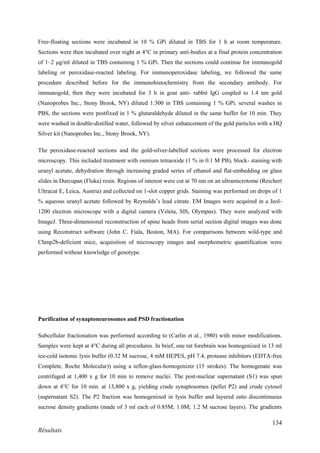 134
Résultats
Free-floating sections were incubated in 10 % GPi diluted in TBS for 1 h at room temperature.
Sections were then incubated over night at 4°C in primary anti-bodies at a final protein concentration
of 1–2 μg/ml diluted in TBS containing 1 % GPi. Then the sections could continue for immunogold
labeling or peroxidase-reacted labeling. For immunoperoxidase labeling, we followed the same
procedure described before for the immunohistochemistry from the secondary antibody. For
immunogold, then they were incubated for 3 h in goat anti- rabbit IgG coupled to 1.4 nm gold
(Nanoprobes Inc., Stony Brook, NY) diluted 1:300 in TBS containing 1 % GPi. several washes in
PBS, the sections were postfixed in 1 % glutaraldehyde diluted in the same buffer for 10 min. They
were washed in double-distilled water, followed by silver enhancement of the gold particles with a HQ
Silver kit (Nanoprobes Inc., Stony Brook, NY).
The peroxidase-reacted sections and the gold-silver-labelled sections were processed for electron
microscopy. This included treatment with osmium tetraoxide (1 % in 0.1 M PB), block- staining with
uranyl acetate, dehydration through increasing graded series of ethanol and flat-embedding on glass
slides in Durcupan (Fluka) resin. Regions of interest were cut at 70 nm on an ultramicrotome (Reichert
Ultracut E, Leica, Austria) and collected on 1-slot copper grids. Staining was performed on drops of 1
% aqueous uranyl acetate followed by Reynolds’s lead citrate. EM Images were acquired in a Jeol-
1200 electron microscope with a digital camera (Veleta, SIS, Olympus). They were analyzed with
ImageJ. Three-dimensional reconstruction of spine heads from serial section digital images was done
using Reconstruct software (John C. Fiala, Boston, MA). For comparisons between wild-type and
Chmp2b-deficient mice, acquisition of microscopy images and morphometric quantification were
performed without knowledge of genotype.
Purification of synaptoneurosomes and PSD fractionation
Subcellular fractionation was performed according to (Carlin et al., 1980) with minor modifications.
Samples were kept at 4°C during all procedures. In brief, one rat forebrain was homogenized in 13 ml
ice-cold isotonic lysis buffer (0.32 M sucrose, 4 mM HEPES, pH 7.4, protease inhibitors (EDTA-free
Complete, Roche Molecular)) using a teflon-glass-homogenizer (15 strokes). The homogenate was
centrifuged at 1,400 x g for 10 min to remove nuclei. The post-nuclear supernatant (S1) was spun
down at 4°C for 10 min. at 13,800 x g, yielding crude synaptosomes (pellet P2) and crude cytosol
(supernatant S2). The P2 fraction was homogenized in lysis buffer and layered onto discontinuous
sucrose density gradients (made of 3 ml each of 0.85M; 1.0M; 1.2 M sucrose layers). The gradients
 