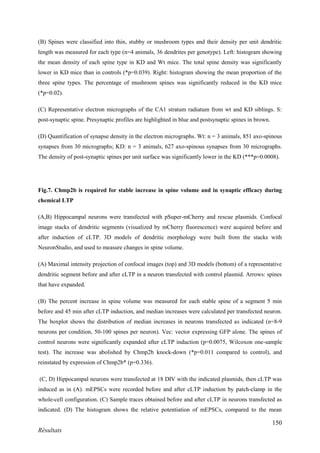 150
Résultats
(B) Spines were classified into thin, stubby or mushroom types and their density per unit dendritic
length was measured for each type (n=4 animals, 36 dendrites per genotype). Left: histogram showing
the mean density of each spine type in KD and Wt mice. The total spine density was significantly
lower in KD mice than in controls (*p=0.039). Right: histogram showing the mean proportion of the
three spine types. The percentage of mushroom spines was significantly reduced in the KD mice
(*p=0.02).
(C) Representative electron micrographs of the CA1 stratum radiatum from wt and KD siblings. S:
post-synaptic spine. Presynaptic profiles are highlighted in blue and postsynaptic spines in brown.
(D) Quantification of synapse density in the electron micrographs. Wt: n = 3 animals, 851 axo-spinous
synapses from 30 micrographs; KD: n = 3 animals, 627 axo-spinous synapses from 30 micrographs.
The density of post-synaptic spines per unit surface was significantly lower in the KD (***p=0.0008).
Fig.7. Chmp2b is required for stable increase in spine volume and in synaptic efficacy during
chemical LTP
(A,B) Hippocampal neurons were transfected with pSuper-mCherry and rescue plasmids. Confocal
image stacks of dendritic segments (visualized by mCherry fluorescence) were acquired before and
after induction of cLTP. 3D models of dendritic morphology were built from the stacks with
NeuronStudio, and used to measure changes in spine volume.
(A) Maximal intensity projection of confocal images (top) and 3D models (bottom) of a representative
dendritic segment before and after cLTP in a neuron transfected with control plasmid. Arrows: spines
that have expanded.
(B) The percent increase in spine volume was measured for each stable spine of a segment 5 min
before and 45 min after cLTP induction, and median increases were calculated per transfected neuron.
The boxplot shows the distribution of median increases in neurons transfected as indicated (n=8-9
neurons per condition, 50-100 spines per neuron). Vec: vector expressing GFP alone. The spines of
control neurons were significantly expanded after cLTP induction (p=0.0075, Wilcoxon one-sample
test). The increase was abolished by Chmp2b knock-down (*p=0.011 compared to control), and
reinstated by expression of Chmp2b* (p=0.336).
(C, D) Hippocampal neurons were transfected at 18 DIV with the indicated plasmids, then cLTP was
induced as in (A). mEPSCs were recorded before and after cLTP induction by patch-clamp in the
whole-cell configuration. (C) Sample traces obtained before and after cLTP in neurons transfected as
indicated. (D) The histogram shows the relative potentiation of mEPSCs, compared to the mean
 