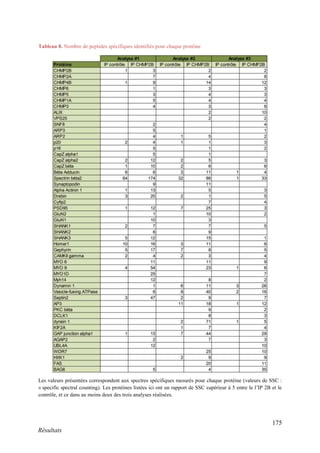 175
Résultats
Tableau 8. Nombre de peptides spécifiques identifiés pour chaque protéine
Les valeurs présentées correspondent aux spectres spécifiques mesurés pour chaque protéine (valeurs de SSC :
« specific spectral counting). Les protéines listées ici ont un rapport de SSC supérieur à 5 entre le l’IP 2B et le
contrôle, et ce dans au moins deux des trois analyses réalisées.
 