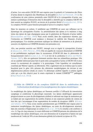 196
Discussion
d’actine. Les sous-unités ESCRT-III sont requises pour la polarité et l’orientation des fibres
d’actine durant la migration des fibroblastes de drosophile (Lobert and Stenmark, 2012). En
confirmation de cette relation potentielle entre ESCRT-III et le cytosquelette d’actine, une
analyse systématique d’interaction chez la drosophile a identifié que le complexe ESCRT-III
était associé au complexe WAVE, au travers de la protéine Brick1 (Guruharsha et al., 2011).
Le complexe WAVE a pour fonction principale d’activer le complexe Arp2/3.
Dans les neurones en culture, il semblerait que CHMP2B ait aussi une influence sur la
dynamique du cytosquelette d’actine. La potentialisation des épines et le maintien à long
terme des épines de type champignon passe par la génération de filaments d’actine stables
(Ramachandran and Frey, 2009). Nous avons montré, dans des expériences récentes, que
l’extinction en CHMP2B avait tendance à diminuer la stabilité des filaments d’actine
postsynaptiques. Ces résultats pourraient expliquer les défauts de maturation et de plasticité
associés à la déplétion en CHMP2B (données non présentées ici).
Alix, une protéine associée aux ESCRT, interagit avec et régule le cytosquelette d’actine
(Cabezas et al., 2005; Pan et al., 2006). Elle est capable de s’associer directement à CHMP4B
et est probablement impliquée dans le recrutement d’ESCRT-III dans le phénomène de
bourgeonnement viral (Jouvenet et al., 2011) et lors de la cytokinèse (Carlton and Martin-
Serrano, 2007). Alix est également fortement enrichie dans nos échantillons protéique. Elle
est un candidat intéressant pour faire le pont entre cytosquelette d’actine et ESCRT-III et ainsi
assurer le recrutement du complexe à la postsynapse. Cette hypothèse est actuellement
examinée par Marine Laporte, au laboratoire. Elle a également mis en évidence que la souris
knockout pour le gène Alix présente des altérations morphologiques du cerveau et une
dégénérescence précoce (étude en cours). Ce phénotype cérébral rappelle à certains égards
celui qui a pu être observé pour la souris exprimant le mutant CHMP2Bintron5
pathogène
(Ghazi-Noori et al., 2012).
2.5. Rôle de CHMP2B et du complexe ESCRT-III dans la stabilisation de
l’arborisation dendritique et la morphogenèse des épines dendritiques
La morphologie des épines dendritiques est finement corrélée à l’efficacité de transmission
synaptique et conditionne la physiologie neuronale. Les épines dendritiques apparaissent
progressivement au cours du développement cérébral et subissent une étape de maturation qui
se traduit par une augmentation du nombre d’épines et une expansion globale du volume de
leur tête, qui s’accompagne d’une augmentation du nombre de récepteurs AMPA (Alvarez
and Sabatini, 2007). Nous avons montré précédemment que CHMP2B était requise pour la
maturation morphologique des épines dendritiques, au cours du développement neuronal,
dans des neurones d’hippocampe en culture (Belly et al., 2010). Ce résultat a été confirmé in
vivo. A l’âge de cinq semaines, la souris déficiente en CHMP2B présente des altérations de la
morphologie des épines dendritiques, avec une diminution de la proportion d’épines de type
mushroom de l’ordre de 50% et une diminution globale de la densité en épines de 33%.
 