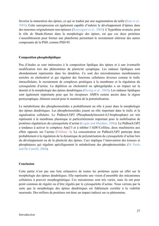 27
Introduction
favorise la maturation des épines, ce qui se traduit par une augmentation de taille (Sala et al.,
2001). Cette surexpression est également capable d’induire le développement d’épines dans
des neurones originalement non-épineux (Roussignol et al., 2005). L’hypothèse avancée, pour
le rôle de Shank-Homer dans la morphologie des épines, est que ces deux protéines
s’assembleraient pour former une plateforme permettant le recrutement ultérieur des autres
composants de la PSD, comme PSD-95.
Composition phospholipidique
Peu d’études se sont intéressées à la composition lipidique des épines et à une éventuelle
modification lors des phénomènes de plasticité synaptique. Les radeaux lipidiques sont
abondamment représentés dans les dendrites. Ce sont des microdomaines membranaires
enrichis en cholestérol et qui régulent des fonctions cellulaires diverses comme le trafic
intracellulaire, le recrutement de complexes protéiques à la membrane et la régulation du
cytosquelette d’actine. La déplétion en cholestérol ou sphingolipides a un impact sur la
densité et la morphologie des épines dendritiques (Hering et al., 2003). Les radeaux lipidiques
sont également importants pour que les récepteurs AMPA restent ancrés dans la région
postsynaptique, élément crucial pour le maintien de la potentialisation.
Le métabolisme des phosphoinositides a probablement un rôle à jouer dans la morphologie
des épines dendritiques. Les phosphoinositides jouent un rôle important dans le trafic et la
signalisation cellulaire. Le PtdIns(4,5)P2 (Phosphatidylinositol-4,5-bisphosphate) est très
représenté à la membrane plasmique et particulièrement important pour la mobilisation de
protéines régulatrices du cytosquelette d’actine (Logan and Mandato, 2006). Le PtdIns(4,5)P2
a tendance à activer le complexe Arp2/3 et à inhiber l’ADF/Cofiline, deux machineries aux
effets opposés sur l’actine (Tableau 1). La concentration en PtdIns(4,5)P2 participe donc
probablement à la régulation de la dynamique de polymérisation du cytosquelette d’actine lors
du développement ou de la plasticité des épines. Ceci implique l’intervention des kinases et
phosphatases qui régulent spécifiquement le métabolisme des phosphoinositides (Di Paolo
and De Camilli, 2006).
Conclusion
Cette partie n’est pas une liste exhaustive de toutes les protéines ayant un effet sur la
morphologie des épines dendritiques. Elle représente une vision d’ensemble des mécanismes
cellulaires à pouvoir morphogénétique. Ces mécanismes sont très variés, mais ils ont pour
point commun de réguler ou d’être régulés par le cytosquelette d’actine. Nous verrons par la
suite que la morphologie des épines dendritiques est fidèlement corrélée à la viabilité
neuronale. Des milliers de protéines ont donc un impact indirect sur ce phénomène.
 