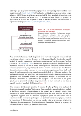 32
Introduction
qui indique que le dysfonctionnement synaptique n’est pas la conséquence secondaire d’une
toxicité neuronale (Smith et al., 2009). L’explication privilégiée pour ces observations est que
la balance LTP/LTD est perturbée en faveur de la LTD dans la maladie d’Alzheimer, sous
l’action des oligomères du peptide Aβ. Ces derniers auraient tendance à perturber la
signalisation et le trafic des récepteurs AMPA et NMDA entrainant, en conséquence, la
dépression synaptique (Hsieh et al., 2006; Snyder et al., 2005).
Dans la maladie humaine, l’étude de patients avec des troubles cognitifs mineurs (décédés
pour d’autres raisons) a permis de mettre en évidence que l’étendue des désordre cognitifs
corrélait de manière plus robuste avec la perte synaptique, qu’avec la présence d’agrégats
d’Aβ ou de Tau (Terry et al., 1991). Le caractère quasi-indétectable des premiers troubles de
la mémoire, associé au fait que les épines dendritiques sont considérées comme le substrat
cellulaire de la mémoire, suggèrent que la maladie pourrait commencer par des altérations
fines du fonctionnement des synapses. La perte synaptique ne peut pas expliquer à elle-seule
la perte de matière neuronale observée en imagerie cérébrale, il est évident que les étapes plus
tardives de la maladie sont associées à une mort neuronale massive. Les dysfonctionnements
synaptiques sont considérés comme des phénomènes précoces, se traduisant par des
altérations structurales et fonctionnelles des synapses. Elles conduisent à des pertes
synaptiques et pourraient contribuer progressivement à la mort neuronale et aux troubles
cognitifs associés à la maladie d’Alzheimer (Figure 18).
Cette séquence d’événements constitue le schéma le plus probable pour expliquer la
physiopathologie de la maladie d’Alzheimer et d’autres maladies neurodégénératives (maladie
de Parkinson, démence frontotemporale...). Le concept de la synapse comme cause
universelle de toutes maladies neuropsychiatriques reste en débat, mais de plus en plus
d’arguments suggèrent que les altérations synaptiques jouent un rôle central dans le
déclenchement des nombreuses pathologies. Les dysfonctionnements synaptiques perturbent
la transmission de l’information nerveuse de manière précoce, et semblent précéder les
évènements de mort neuronale. Ils s’accompagnent d’altérations fines de la structure, du
fonctionnement et de la plasticité des épines dendritiques.
Figure 18. Les dysfonctionnements synaptiques
précèdent la mort neuronale
Diagramme mettant en évidence l’enchainement supposé
des évènements pathogènes dans les maladies
neurodégénératives. Nous prenons ici l’exemple de la
maladie d’Alzheimer, particulièrement étudiée, mais cette
séquence d’évènements semble généralisable aux autres
pathologies neurodégénératives.
 