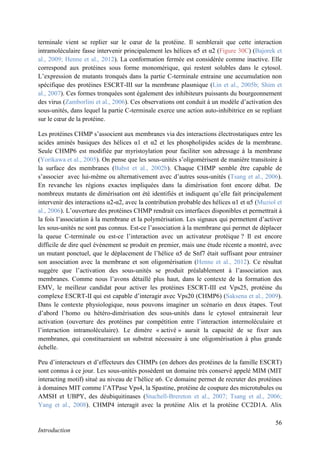 56
Introduction
terminale vient se replier sur le cœur de la protéine. Il semblerait que cette interaction
intramoléculaire fasse intervenir principalement les hélices α5 et α2 (Figure 30C) (Bajorek et
al., 2009; Henne et al., 2012). La conformation fermée est considérée comme inactive. Elle
correspond aux protéines sous forme monomérique, qui restent solubles dans le cytosol.
L’expression de mutants tronqués dans la partie C-terminale entraine une accumulation non
spécifique des protéines ESCRT-III sur la membrane plasmique (Lin et al., 2005b; Shim et
al., 2007). Ces formes tronquées sont également des inhibiteurs puissants du bourgeonnement
des virus (Zamborlini et al., 2006). Ces observations ont conduit à un modèle d’activation des
sous-unités, dans lequel la partie C-terminale exerce une action auto-inhibitrice en se repliant
sur le cœur de la protéine.
Les protéines CHMP s’associent aux membranes via des interactions électrostatiques entre les
acides aminés basiques des hélices α1 et α2 et les phospholipides acides de la membrane.
Seule CHMP6 est modifiée par myristoylation pour faciliter son adressage à la membrane
(Yorikawa et al., 2005). On pense que les sous-unités s’oligomérisent de manière transitoire à
la surface des membranes (Babst et al., 2002b). Chaque CHMP semble être capable de
s’associer avec lui-même ou alternativement avec d’autres sous-unités (Tsang et al., 2006).
En revanche les régions exactes impliquées dans la dimérisation font encore débat. De
nombreux mutants de dimérisation ont été identifiés et indiquent qu’elle fait principalement
intervenir des interactions α2-α2, avec la contribution probable des hélices α1 et α5 (Muziol et
al., 2006). L’ouverture des protéines CHMP rendrait ces interfaces disponibles et permettrait à
la fois l’association à la membrane et la polymérisation. Les signaux qui permettent d’activer
les sous-unités ne sont pas connus. Est-ce l’association à la membrane qui permet de déplacer
la queue C-terminale ou est-ce l’interaction avec un activateur protéique ? Il est encore
difficile de dire quel évènement se produit en premier, mais une étude récente a montré, avec
un mutant ponctuel, que le déplacement de l’hélice α5 de Snf7 était suffisant pour entrainer
son association avec la membrane et son oligomérisation (Henne et al., 2012). Ce résultat
suggère que l’activation des sous-unités se produit préalablement à l’association aux
membranes. Comme nous l’avons détaillé plus haut, dans le contexte de la formation des
EMV, le meilleur candidat pour activer les protéines ESCRT-III est Vps25, protéine du
complexe ESCRT-II qui est capable d’interagir avec Vps20 (CHMP6) (Saksena et al., 2009).
Dans le contexte physiologique, nous pouvons imaginer un scénario en deux étapes. Tout
d’abord l’homo ou hétéro-dimérisation des sous-unités dans le cytosol entrainerait leur
activation (ouverture des protéines par compétition entre l’interaction intermoléculaire et
l’interaction intramoléculaire). Le dimère « activé » aurait la capacité de se fixer aux
membranes, qui constitueraient un substrat nécessaire à une oligomérisation à plus grande
échelle.
Peu d’interacteurs et d’effecteurs des CHMPs (en dehors des protéines de la famille ESCRT)
sont connus à ce jour. Les sous-unités possèdent un domaine très conservé appelé MIM (MIT
interacting motif) situé au niveau de l’hélice α6. Ce domaine permet de recruter des protéines
à domaines MIT comme l’ATPase Vps4, la Spastine, protéine de coupure des microtubules ou
AMSH et UBPY, des déubiquitinases (Stuchell-Brereton et al., 2007; Tsang et al., 2006;
Yang et al., 2008). CHMP4 interagit avec la protéine Alix et la protéine CC2D1A. Alix
 