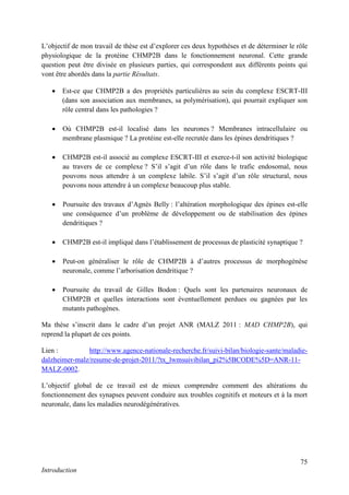 75
Introduction
L’objectif de mon travail de thèse est d’explorer ces deux hypothèses et de déterminer le rôle
physiologique de la protéine CHMP2B dans le fonctionnement neuronal. Cette grande
question peut être divisée en plusieurs parties, qui correspondent aux différents points qui
vont être abordés dans la partie Résultats.
 Est-ce que CHMP2B a des propriétés particulières au sein du complexe ESCRT-III
(dans son association aux membranes, sa polymérisation), qui pourrait expliquer son
rôle central dans les pathologies ?
 Où CHMP2B est-il localisé dans les neurones ? Membranes intracellulaire ou
membrane plasmique ? La protéine est-elle recrutée dans les épines dendritiques ?
 CHMP2B est-il associé au complexe ESCRT-III et exerce-t-il son activité biologique
au travers de ce complexe ? S’il s’agit d’un rôle dans le trafic endosomal, nous
pouvons nous attendre à un complexe labile. S’il s’agit d’un rôle structural, nous
pouvons nous attendre à un complexe beaucoup plus stable.
 Poursuite des travaux d’Agnès Belly : l’altération morphologique des épines est-elle
une conséquence d’un problème de développement ou de stabilisation des épines
dendritiques ?
 CHMP2B est-il impliqué dans l’établissement de processus de plasticité synaptique ?
 Peut-on généraliser le rôle de CHMP2B à d’autres processus de morphogénèse
neuronale, comme l’arborisation dendritique ?
 Poursuite du travail de Gilles Bodon : Quels sont les partenaires neuronaux de
CHMP2B et quelles interactions sont éventuellement perdues ou gagnées par les
mutants pathogènes.
Ma thèse s’inscrit dans le cadre d’un projet ANR (MALZ 2011 : MAD CHMP2B), qui
reprend la plupart de ces points.
Lien : http://www.agence-nationale-recherche.fr/suivi-bilan/biologie-sante/maladie-
dalzheimer-malz/resume-de-projet-2011/?tx_lwmsuivibilan_pi2%5BCODE%5D=ANR-11-
MALZ-0002.
L’objectif global de ce travail est de mieux comprendre comment des altérations du
fonctionnement des synapses peuvent conduire aux troubles cognitifs et moteurs et à la mort
neuronale, dans les maladies neurodégénératives.
 