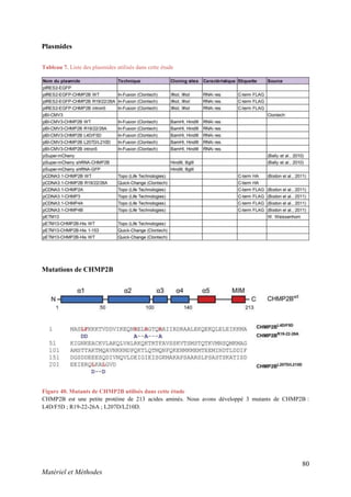80
Matériel et Méthodes
Plasmides
Mutations de CHMP2B
Tableau 7. Liste des plasmides utilisés dans cette étude
Figure 40. Mutants de CHMP2B utilisés dans cette étude
CHMP2B est une petite protéine de 213 acides aminés. Nous avons développé 3 mutants de CHMP2B :
L4D/F5D ; R19-22-26A ; L207D/L210D.
 