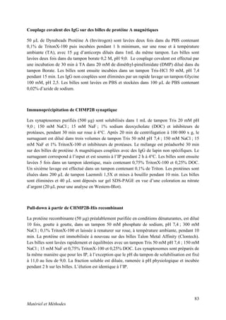 83
Matériel et Méthodes
Couplage covalent des IgG sur des billes de protéine A magnétiques
50 µL de Dynabeads Protéine A (Invitrogen) sont lavées deux fois dans du PBS contenant
0,1% de TritonX-100 puis incubées pendant 1 h minimum, sur une roue et à température
ambiante (TA), avec 15 µg d’anticorps dilués dans 1mL du même tampon. Les billes sont
lavées deux fois dans du tampon borate 0,2 M, pH 9,0. Le couplage covalent est effectué par
une incubation de 30 min à TA dans 20 mM de diméthyl-pimélimidate (DMP) dilué dans du
tampon Borate. Les billes sont ensuite incubées dans un tampon Tris-HCl 50 mM, pH 7,4
pendant 15 min. Les IgG non couplées sont éliminées par un rapide lavage un tampon Glycine
100 mM, pH 2,5. Les billes sont lavées en PBS et stockées dans 100 µL de PBS contenant
0,02% d’azide de sodium.
Immunoprécipitation de CHMP2B synaptique
Les synaptosomes purifiés (500 µg) sont solubilisés dans 1 mL de tampon Tris 20 mM pH
9,0 ; 150 mM NaCl ; 15 mM NaF ; 1% sodium deoxycholate (DOC) et inhibiteurs de
protéases, pendant 30 min sur roue à 4°C. Après 20 min de centrifugation à 100 000 x g, le
surnageant est dilué dans trois volumes de tampon Tris 50 mM pH 7,4 ; 150 mM NaCl ; 15
mM NaF et 1% TritonX-100 et inhibiteurs de protéases. Le mélange est préadsorbé 30 min
sur des billes de protéine A magnétiques couplées avec des IgG de lapin non spécifiques. Le
surnageant correspond à l’input et est soumis à l’IP pendant 2 h à 4°C. Les billes sont ensuite
lavées 5 fois dans un tampon identique, mais contenant 0,75% TritonX-100 et 0,25% DOC.
Un sixième lavage est effectué dans un tampon contenant 0,1% de Triton. Les protéines sont
éluées dans 200 µL de tampon Laemmli 1,5X et mises à bouillir pendant 10 min. Les billes
sont éliminées et 40 µL sont déposés sur gel SDS-PAGE en vue d’une coloration au nitrate
d’argent (20 µL pour une analyse en Western-Blot).
Pull-down à partir de CHMP2B-His recombinant
La protéine recombinante (50 µg) préalablement purifiée en conditions dénaturantes, est dilué
10 fois, goutte à goutte, dans un tampon 50 mM phosphate de sodium, pH 7,4 ; 300 mM
NaCl ; 0,1% TritonX-100 et laissée à renaturer sur roue, à température ambiante, pendant 10
min. La protéine est immobilisée à nouveau sur des billes Talon Metal Affinity (Clontech).
Les billes sont lavées rapidement et équilibrées avec un tampon Tris 50 mM pH 7,4 ; 150 mM
NaCl ; 15 mM NaF et 0,75% TritonX-100 et 0,25% DOC. Les synaptosomes sont préparés de
la même manière que pour les IP, à l’exception que le pH du tampon de solubilisation est fixé
à 11,0 au lieu de 9,0. La fraction soluble est diluée, ramenée à pH physiologique et incubée
pendant 2 h sur les billes. L’élution est identique à l’IP.
 