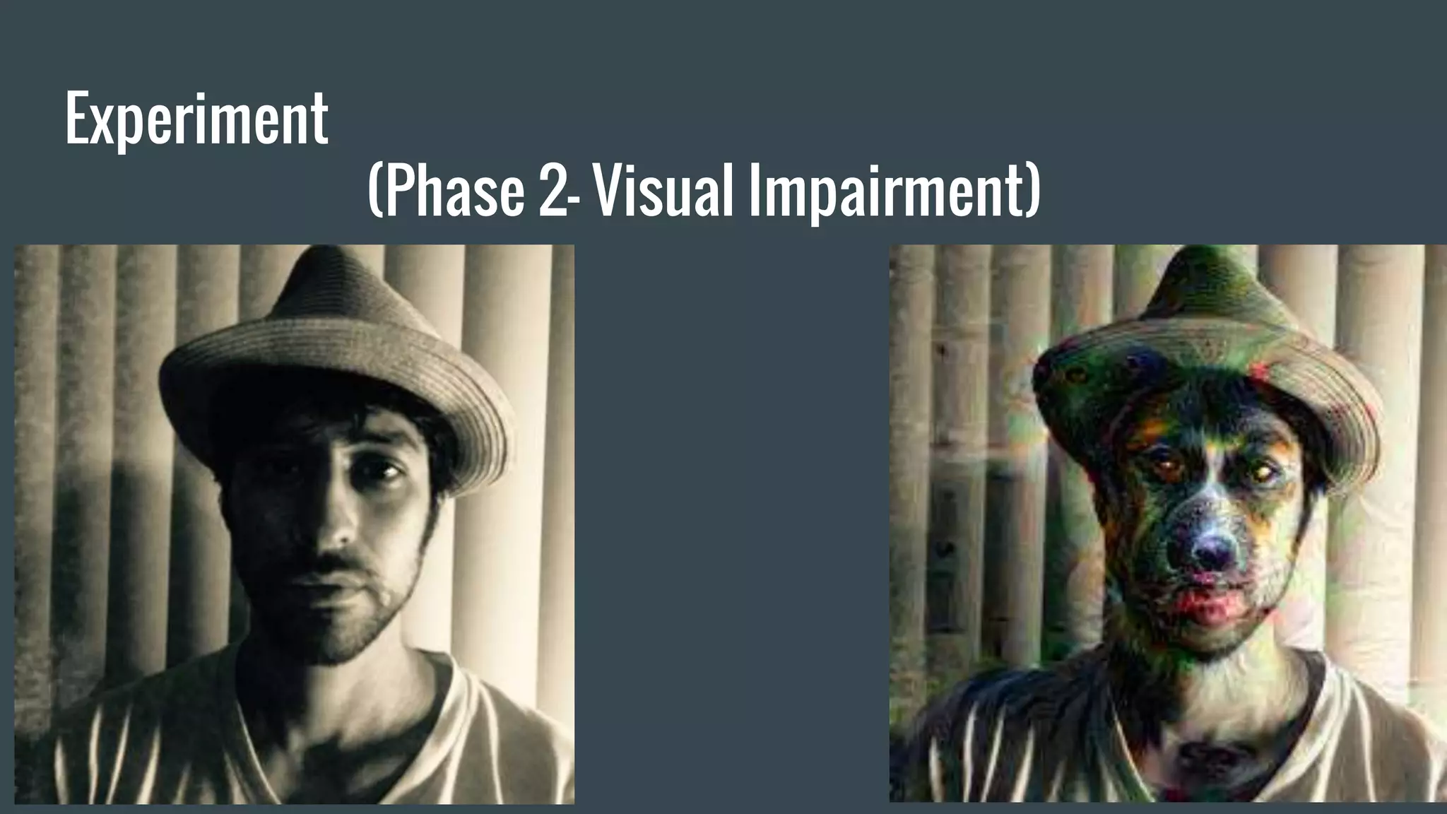 Experiment
(Phase 2- Visual Impairment)
 