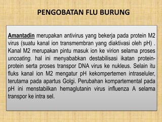 PENGOBATAN FLU BURUNG
Amantadin merupakan antivirus yang bekerja pada protein M2
virus (suatu kanal ion transmembran yang diaktivasi oleh pH) .
Kanal M2 merupakan pintu masuk ion ke virion selama proses
uncoating. hal ini menyababkan destabilisasi ikatan protein-
protein serta proses transpor DNA virus ke nukleus. Selain itu
fluks kanal ion M2 mengatur pH kekompertemen intraseluler,
terutama pada apartus Golgi. Perubahan kompartemental pada
pH ini menstabilkan hemaglutanin virus influenza A selama
transpor ke intra sel.
 