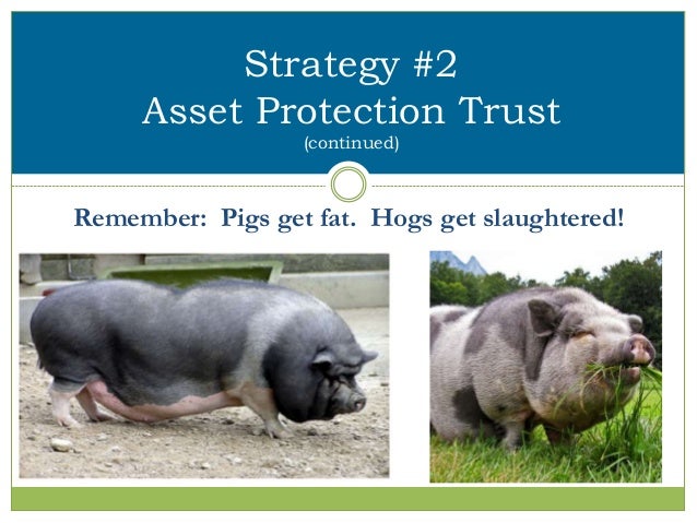 Asset Protection Planning Strategies - 웹