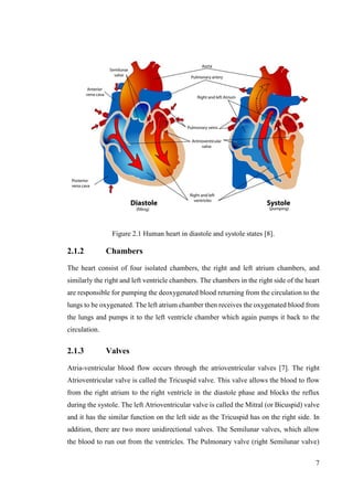 7
Figure 2.1 Human heart in diastole and systole states [8].
2.1.2 Chambers
The heart consist of four isolated chambers, the right and left atrium chambers, and
similarly the right and left ventricle chambers. The chambers in the right side of the heart
are responsible for pumping the deoxygenated blood returning from the circulation to the
lungs to be oxygenated. The left atrium chamber then receives the oxygenated blood from
the lungs and pumps it to the left ventricle chamber which again pumps it back to the
circulation.
2.1.3 Valves
Atria-ventricular blood flow occurs through the atrioventricular valves [7]. The right
Atrioventricular valve is called the Tricuspid valve. This valve allows the blood to flow
from the right atrium to the right ventricle in the diastole phase and blocks the reflux
during the systole. The left Atrioventricular valve is called the Mitral (or Bicuspid) valve
and it has the similar function on the left side as the Tricuspid has on the right side. In
addition, there are two more unidirectional valves. The Semilunar valves, which allow
the blood to run out from the ventricles. The Pulmonary valve (right Semilunar valve)
 