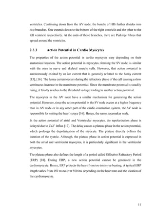 11
ventricles. Continuing down from the AV node, the bundle of HIS further divides into
two branches. One extends down to the bottom of the right ventricle and the other to the
left ventricle respectively. At the ends of those branches, there are Purkinje Fibres that
spread around the ventricles.
2.3.3 Action Potential in Cardio Myocytes
The properties of the action potential in cardio myocytes vary depending on their
anatomical location. The action potential in myocytes, forming the SV node, is similar
with the ones in nerve and skeletal muscle cells. However, that action potential is
autonomously excited by an ion current that is generally referred to the funny current
[15], [16]. The funny current occurs during the refractory phase of the cell causing a slow
continuous increase in the membrane potential. Since the membrane potential is steadily
rising, it finally reaches to the threshold voltage leading to another action potential.
The myocytes in the AV node have a similar mechanism for generating the action
potential. However, since the action potential in the SV node occurs at a higher frequency
than in AV node or in any other part of the cardio conduction system, the SV node is
responsible for setting the heart’s pace [16]. Hence, the name pacemaker node.
In the action potential of atrial and Ventricular myocytes, the repolarization phase is
delayed due to Ca2+
influx [17]. The delay causes a plateau phase in the action potential,
which prolongs the depolarization of the myocyte. The plateau directly defines the
duration of the systole. Although, the plateau phase in action potential is expressed in
both the atrial and ventricular myocytes, it is particularly significant in the ventricular
myocytes.
The plateau phase also defines the length of a period called Effective Refractory Period
(ERP) [18]. During ERP, a new action potential cannot be generated in the
cardiomyocyte. Hence, ERP protects the heart from too intensive beating. A typical ERP
length varies from 150 ms to over 500 ms depending on the heart rate and the location of
the cyrdiomyocyte.
 