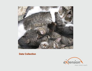 Data CollectionData Collection
 