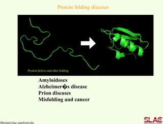 Bholat@slac.stanford.edu
Protein before and after folding
Amyloidoses
Alzheimer�s disease
Prion diseases
Misfolding and cancer
Protein folding diseases
 