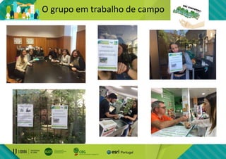 O grupo em trabalho de campo
 