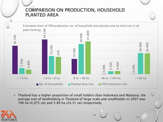 COMPARISON ON PRODUCTION, HOUSEHOLD
PLANTED AREA36.10%
44.10%
19.36%
0.30%
0.20%
7.70%
23.20%
38.40%
3.70%
26.90%
5.80%
22%
41.80%
4.00%
26.40%
< 1.6 ha 1.6 to <8 ha 8 to <48 ha 48 to <160 ha >160 ha
Estimated share of FFB production, no. of household and planted area by land size in oil
palm farming
No. of households Planted Area (ha) FFB Production (mt)
• Thailand has a higher proportion of small holders than Indonesia and Malaysia. the
average size of landholding in Thailand of large scale and smallholder in 2007 was
796 ha (4,975 rai) and 3.89 ha (24.31 rai) respectively.
 