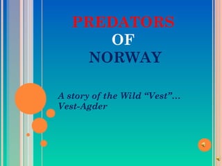 PREDATORS
OF
NORWAY
A story of the Wild “Vest”…
Vest-Agder
 