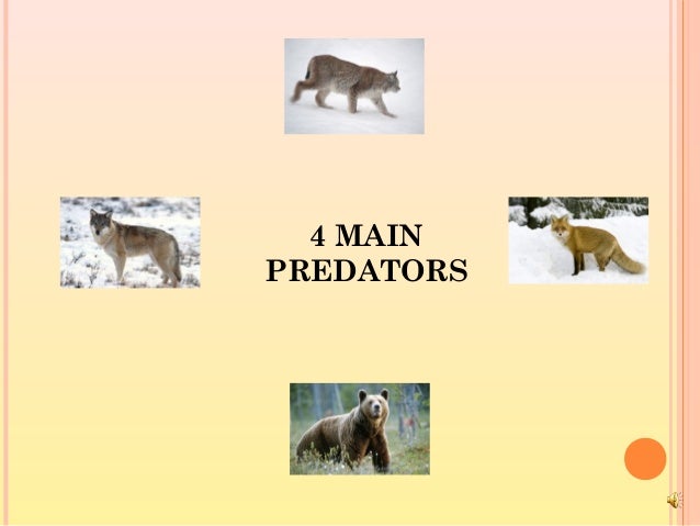 Predators of Norway