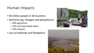 Human Impacts
• 83 million people in 18 Countries
• Nutrients (eg. nitrogen and phosphorus)
• 50% agriculture
• 25% municipal waste water
• 25% industry
• Loss of wetlands and floodplains
 