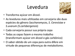 Levedura
• Transforma açúcar em álcool.
• As leveduras mais ultilizadas em cervejaria são duas
  espécies do gênero Saccharomyces, S. Cerevisiae e
  S.uvarum (S.carlsbergensis)
• Cada cervejaria possui sua própria cepa
• Todas as cepas fazem o mesmo trabalho
  (transformam açúcar em álcool e gás carbônico)
• O sabor obtido de um cepa para outra difere em
  virtude de pequenas diferenças de metabolismo.
 