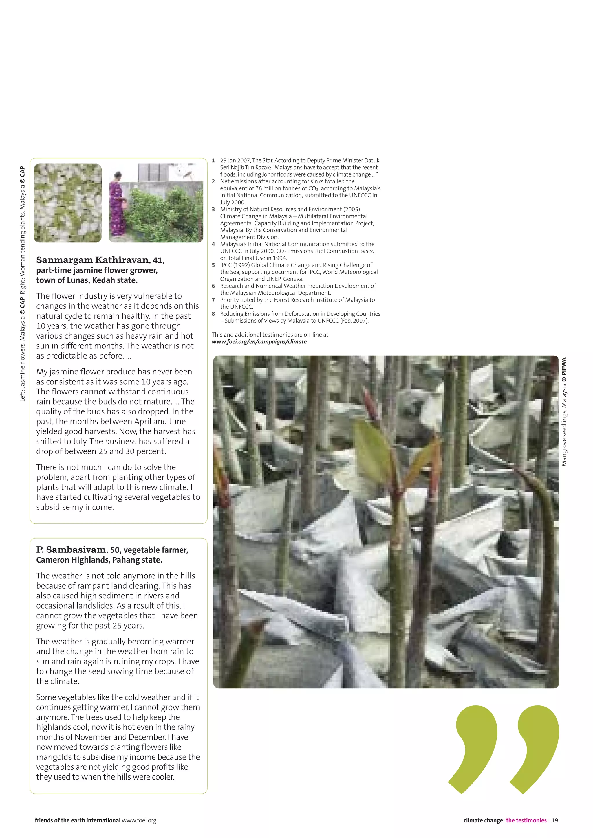 P. Sambasivam, 50, vegetable farmer,
Cameron Highlands, Pahang state.
The weather is not cold anymore in the hills
because of rampant land clearing. This has
also caused high sediment in rivers and
occasional landslides. As a result of this, I
cannot grow the vegetables that I have been
growing for the past 25 years.
The weather is gradually becoming warmer
and the change in the weather from rain to
sun and rain again is ruining my crops. I have
to change the seed sowing time because of
the climate.
Some vegetables like the cold weather and if it
continues getting warmer, I cannot grow them
anymore. The trees used to help keep the
highlands cool; now it is hot even in the rainy
months of November and December. I have
now moved towards planting flowers like
marigolds to subsidise my income because the
vegetables are not yielding good profits like
they used to when the hills were cooler.
Sanmargam Kathiravan, 41,
part-time jasmine flower grower,
town of Lunas, Kedah state.
The flower industry is very vulnerable to
changes in the weather as it depends on this
natural cycle to remain healthy. In the past
10 years, the weather has gone through
various changes such as heavy rain and hot
sun in different months. The weather is not
as predictable as before. …
My jasmine flower produce has never been
as consistent as it was some 10 years ago.
The flowers cannot withstand continuous
rain because the buds do not mature. … The
quality of the buds has also dropped. In the
past, the months between April and June
yielded good harvests. Now, the harvest has
shifted to July. The business has suffered a
drop of between 25 and 30 percent.
There is not much I can do to solve the
problem, apart from planting other types of
plants that will adapt to this new climate. I
have started cultivating several vegetables to
subsidise my income.
climate change: the testimonies | 19friends of the earth international www.foei.org
1 23 Jan 2007, The Star. According to Deputy Prime Minister Datuk
Seri Najib Tun Razak: “Malaysians have to accept that the recent
floods, including Johor floods were caused by climate change …”
2 Net emissions after accounting for sinks totalled the
equivalent of 76 million tonnes of CO2; according to Malaysia’s
Initial National Communication, submitted to the UNFCCC in
July 2000.
3 Ministry of Natural Resources and Environment (2005)
Climate Change in Malaysia – Multilateral Environmental
Agreements: Capacity Building and Implementation Project,
Malaysia. By the Conservation and Environmental
Management Division.
4 Malaysia’s Initial National Communication submitted to the
UNFCCC in July 2000, CO2 Emissions Fuel Combustion Based
on Total Final Use in 1994.
5 IPCC (1992) Global Climate Change and Rising Challenge of
the Sea, supporting document for IPCC, World Meteorological
Organization and UNEP, Geneva.
6 Research and Numerical Weather Prediction Development of
the Malaysian Meteorological Department.
7 Priority noted by the Forest Research Institute of Malaysia to
the UNFCCC.
8 Reducing Emissions from Deforestation in Developing Countries
– Submissions of Views by Malaysia to UNFCCC (Feb, 2007).
This and additional testimonies are on-line at
www.foei.org/en/campaigns/climate
Left:Jasmineflowers,Malaysia©CAPRight:Womantendingplants,Malaysia©CAP
Mangroveseedlings,Malaysia©PIFWA
 