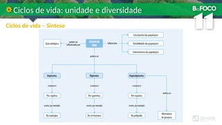 Ciclos de vida – Síntese
Ciclos de vida: unidade e diversidade
 