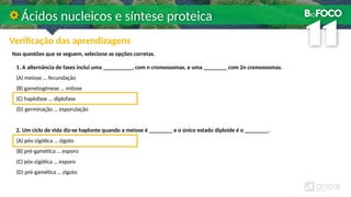 1. A alternância de fases inclui uma __________, com n cromossomas, e uma ________ com 2n cromossomas.
(A) meiose … fecundação
(B) gametogénese … mitose
(C) haplofase … diplofase
(D) germinação … esporulação
2. Um ciclo de vida diz-se haplonte quando a meiose é ________ e o único estado diploide é o ________.
(A) pós-zigótica … zigoto
(B) pré-gamética … esporo
(C) pós-zigótica … esporo
(D) pré-gamética … zigoto
Nas questões que se seguem, selecione as opções corretas.
Ácidos nucleicos e síntese proteica
Verificação das aprendizagens
 