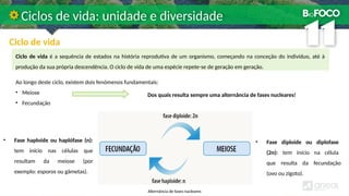 Ciclo de vida
Ciclos de vida: unidade e diversidade
Ciclo de vida é a sequência de estados na história reprodutiva de um organismo, começando na conceção do indivíduo, até à
produção da sua própria descendência. O ciclo de vida de uma espécie repete-se de geração em geração.
Ao longo deste ciclo, existem dois fenómenos fundamentais:
• Meiose
• Fecundação
Dos quais resulta sempre uma alternância de fases nucleares!
• Fase haploide ou haplófase (n):
tem início nas células que
resultam da meiose (por
exemplo: esporos ou gâmetas).
• Fase diploide ou diplofase
(2n): tem início na célula
que resulta da fecundação
(ovo ou zigoto).
Alternância de fases nucleares
 