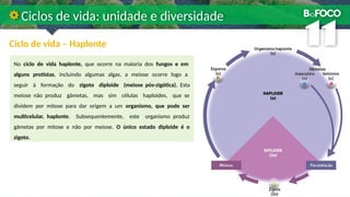 Ciclo de vida – Haplonte
Ciclos de vida: unidade e diversidade
No ciclo de vida haplonte, que ocorre na maioria dos fungos e em
alguns protistas, incluindo algumas algas, a meiose ocorre logo a
seguir à formação do zigoto diploide (meiose pós-zigótica). Esta
meiose não produz gâmetas, mas sim células haploides, que se
dividem por mitose para dar origem a um organismo, que pode ser
multicelular, haplonte. Subsequentemente, este organismo produz
gâmetas por mitose e não por meiose. O único estado diploide é o
zigoto.
 