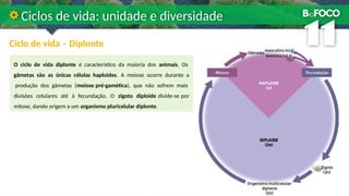 Ciclo de vida – Diplonte
Ciclos de vida: unidade e diversidade
O ciclo de vida diplonte é característico da maioria dos animais. Os
gâmetas são as únicas células haploides. A meiose ocorre durante a
produção dos gâmetas (meiose pré-gamética), que não sofrem mais
divisões celulares até à fecundação. O zigoto diploide divide-se por
mitose, dando origem a um organismo pluricelular diplonte.
 