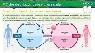 Ciclo de vida – Diplonte: Ser Humano (Homo sapiens)
Ciclos de vida: unidade e diversidade
Na espécie humana, como na maioria dos animais, a meiose ocorre durante a formação dos gâmetas (meiose pré-gamética), que, quando se
unem (fecundação), dão origem a um zigoto diploide, o qual se divide por mitoses sucessivas, originando um indivíduo multicelular diplonte. O
ser humano é um ser diplonte, pois todas as suas células são diploides, exceto os gâmetas, que são haploides.
O ser humano reproduz-se exclusivamente de forma sexuada e apresenta dimorfismo sexual (homem e mulher).
 