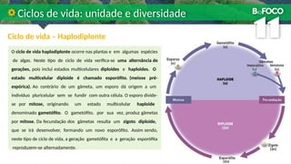 Ciclo de vida – Haplodiplonte
Ciclos de vida: unidade e diversidade
O ciclo de vida haplodiplonte ocorre nas plantas e em algumas espécies
de algas. Neste tipo de ciclo de vida verifica-se uma alternância de
gerações, pois inclui estados multicelulares diploides e haploides. O
estado multicelular diploide é chamado esporófito. (meiose pré-
espórica). Ao contrário de um gâmeta, um esporo dá origem a um
indivíduo pluricelular sem se fundir com outra célula. O esporo divide-
se por mitose, originando um estado multicelular haploide
denominado gametófito. O gametófito, por sua vez, produz gâmetas
por mitose. Da fecundação dos gâmetas resulta um zigoto diploide,
que se irá desenvolver, formando um novo esporófito. Assim sendo,
neste tipo de ciclo de vida, a geração gametófita e a geração esporófita
reproduzem-se alternadamente.
 