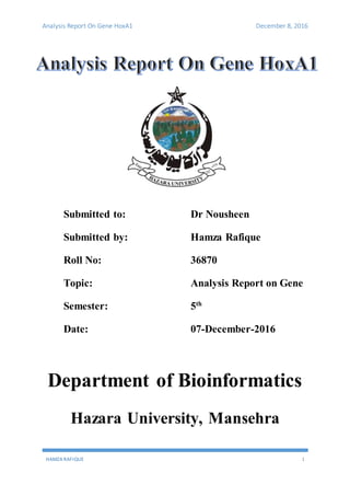 Analysis Report On Gene HoxA1 December 8, 2016
HAMZA RAFIQUE 1
Submitted to: Dr Nousheen
Submitted by: Hamza Rafique
Roll No: 36870
Topic: Analysis Report on Gene
Semester: 5th
Date: 07-December-2016
Department of Bioinformatics
Hazara University, Mansehra
 