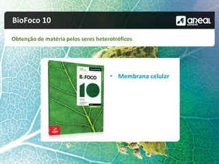 BioFoco 10
Obtenção de matéria pelos seres heterotróficos
• Membrana celular
 